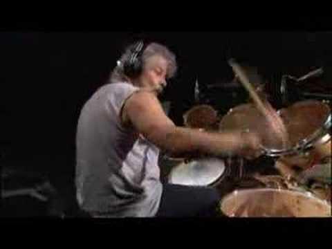 PHIL "PHILTHY ANIMAL" TAYLOR, 1954-2015